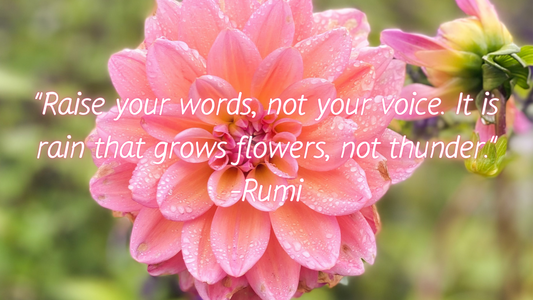 "Raise your words, not your voice. It is rain that grows flowers, not thunder." -Rumi